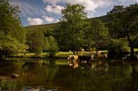 1080 Hot Summer Afternoon Chris Gilbert, Ravenseye Gallery, Peak District, Photographs, Courses